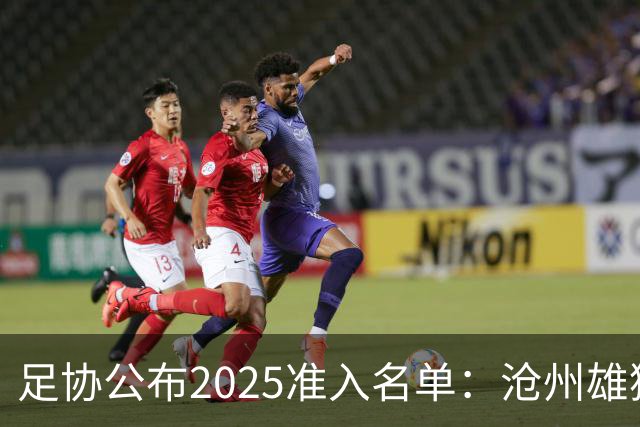 足协公布2025准入名单：沧州雄狮、广州队无缘